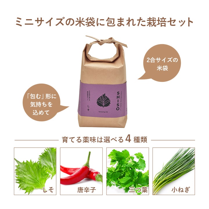 家庭菜園野菜、キヌヒカリ玄米セット 栽培キット TSUTSUMI しそ 唐辛子 三つ葉 小ねぎ 米袋 栽培