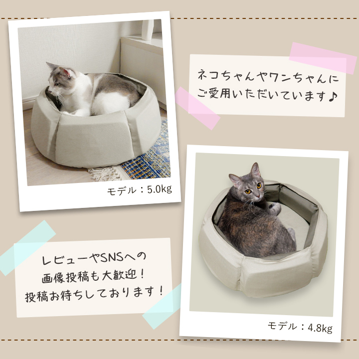 日本製 ペット ベッド シックスブロック ペットベッド 洗える おしゃれ