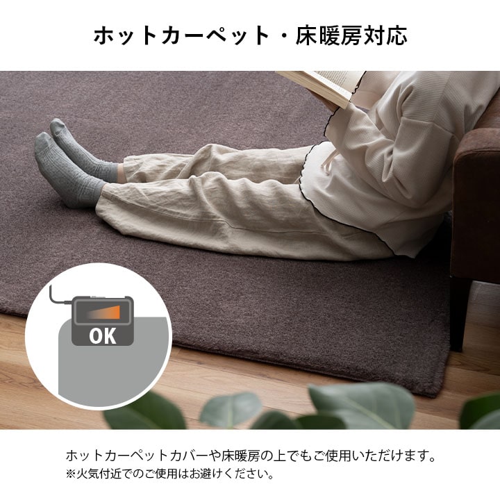 イケヒコ ラグ カーペット 4畳 ファリー 200×300cm ラグマット