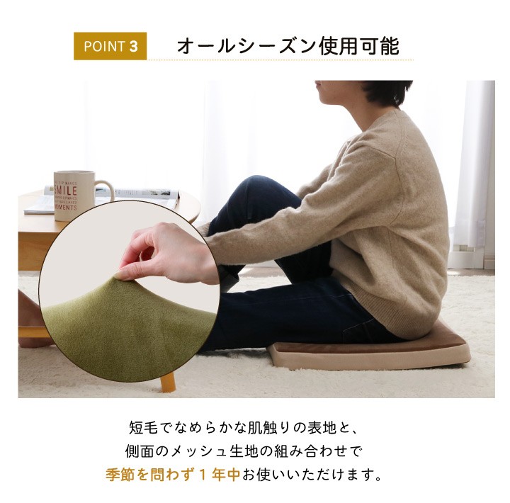 イケヒコ クッション シートクッション もちもち MO-RU シート 約40×40