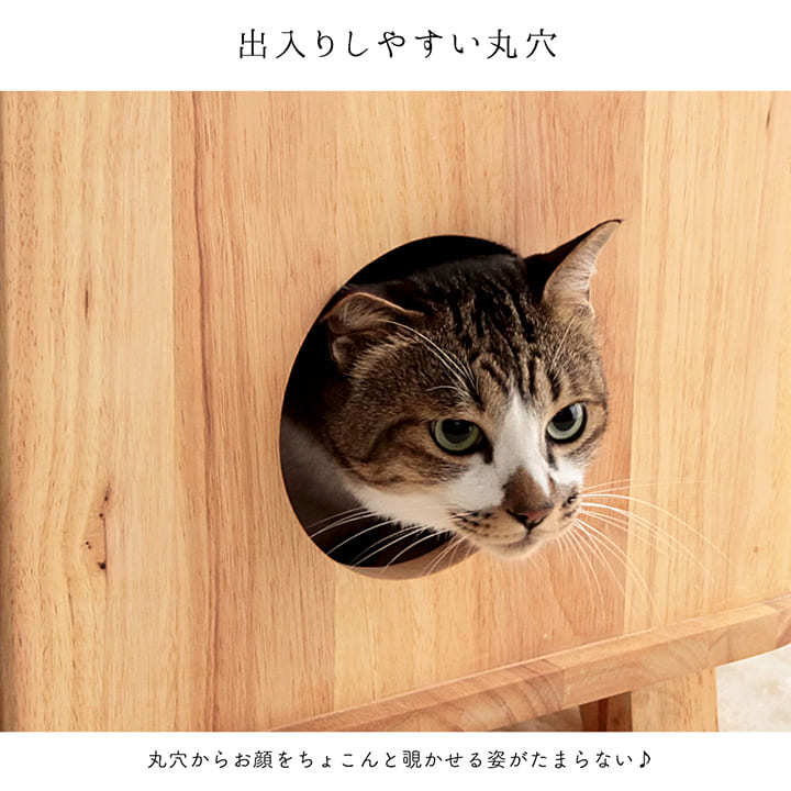 猫家具 タワーキャビネット 57×44×114.5cm ネコ ねこ キャットタワー 