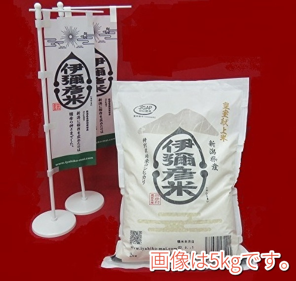 冷凍刺身筍穂付<ＳS> 1kg入 業務用 冷凍食品 冬筍使用 :41900171matsu:いい気分なる - 通販 - Yahoo!ショッピング