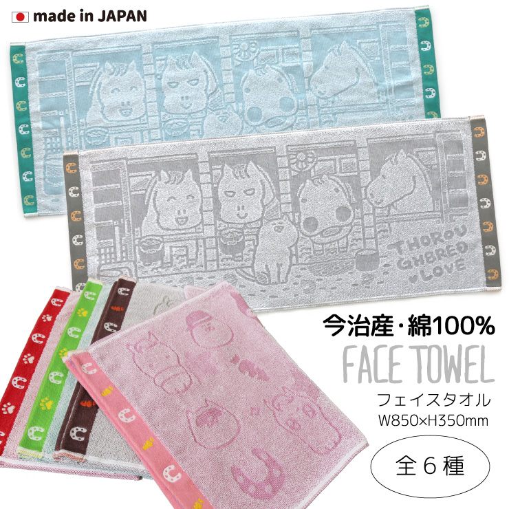 競馬場で買ったものやもらったものの詰め合わせ 牧場の引退競走馬たちをご紹介📣 ※差し入れで葉付きにんじんを
