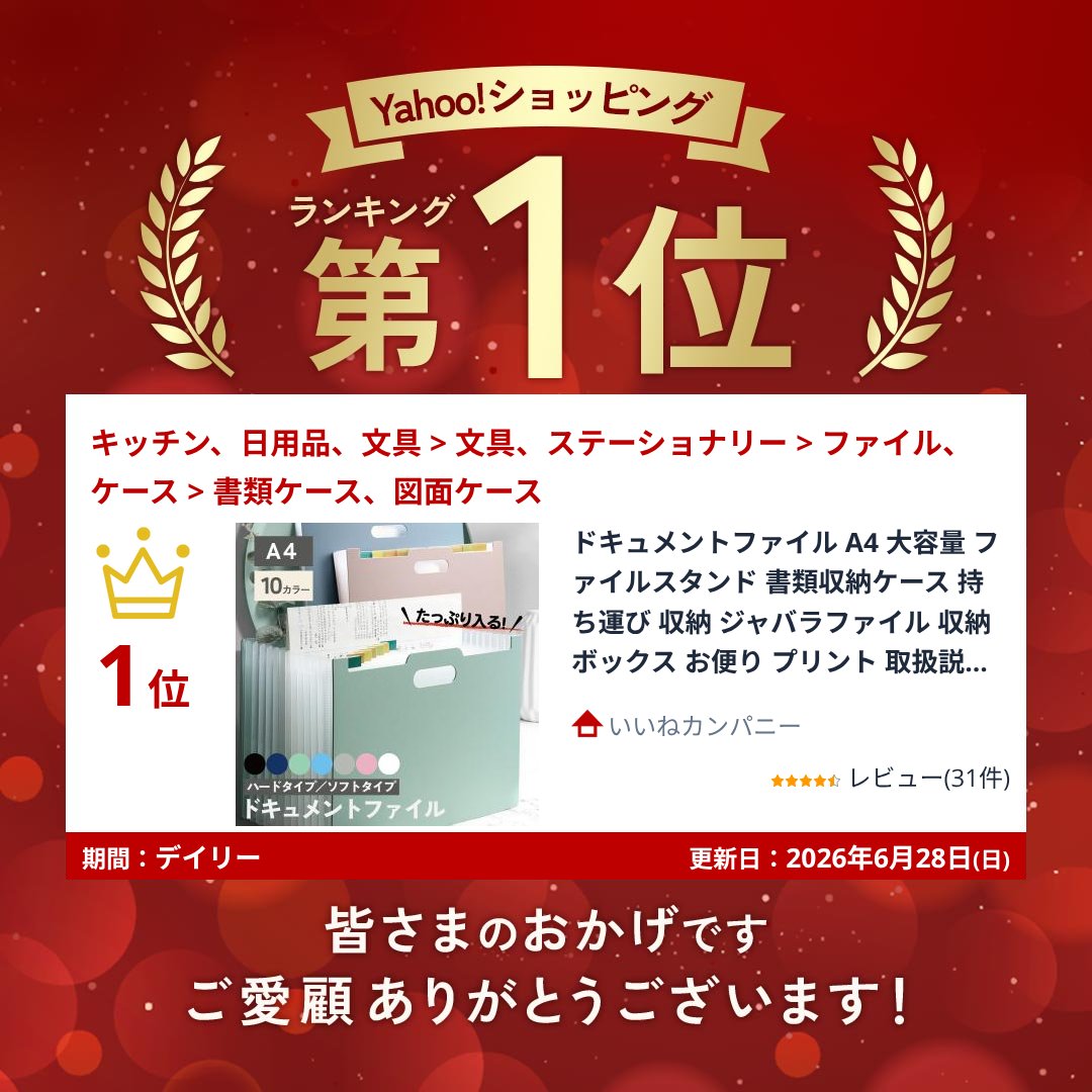ドキュメントファイル A4 大容量 ファイルスタンド 書類収納ケース