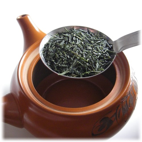 一番煎茶 100g×5袋セット 静岡産 ［ 一番茶 静岡茶 煎茶 茶葉