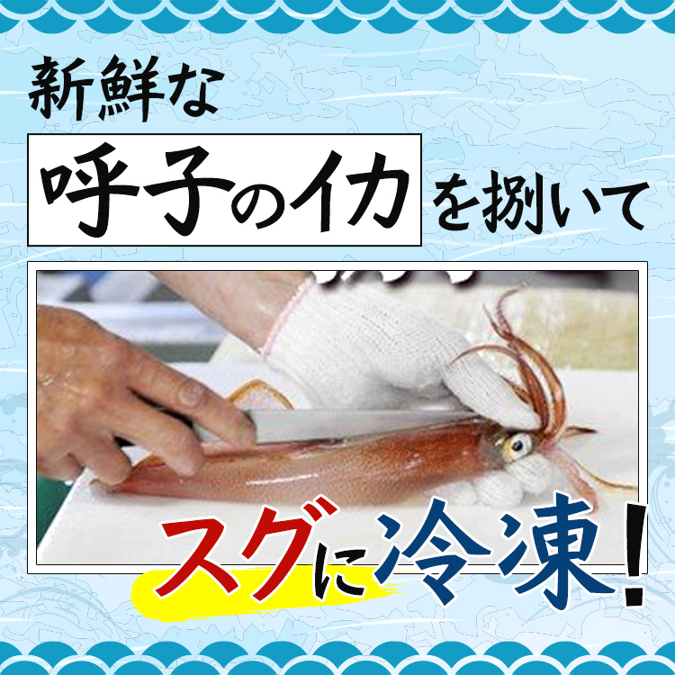 呼子のいか姿造り 中 約300g 呼子のいかの捌きたてを冷凍 いかのお刺身 イカのお造り Ika 003 玄海いか舟処 海舟 通販 Yahoo ショッピング