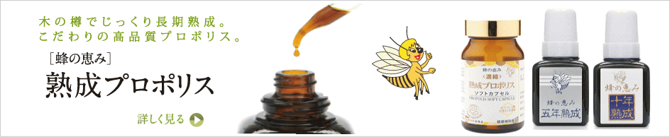 蜂の恵み　プロポリス