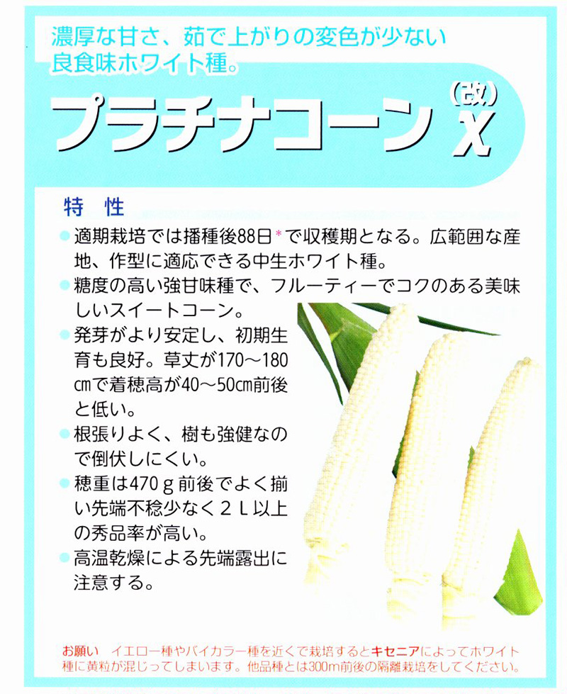 ★とうもろこし@出品★ imgrc0076049811.jpg