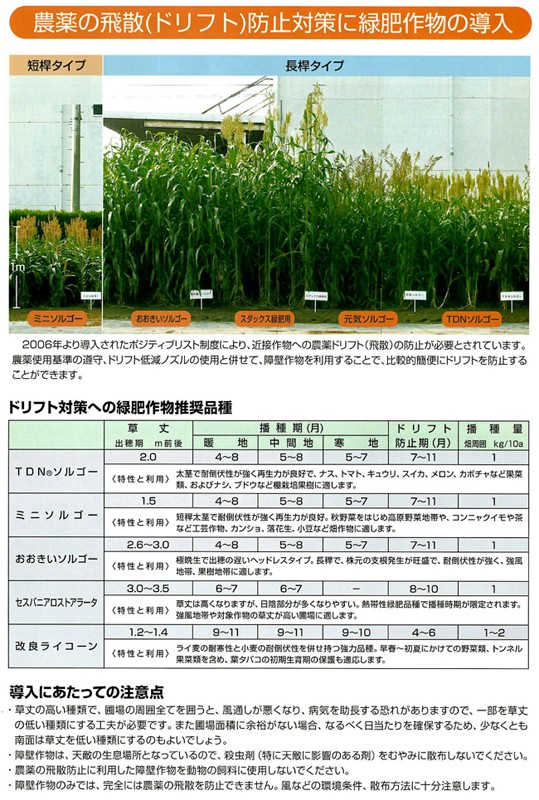 緑肥 ソルガム おおきいソルゴー 1ｋｇ カネコ種苗 年間定番