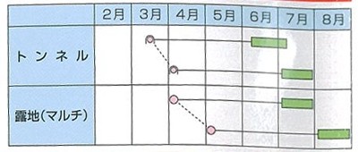 恵味ゴールド　栽培暦