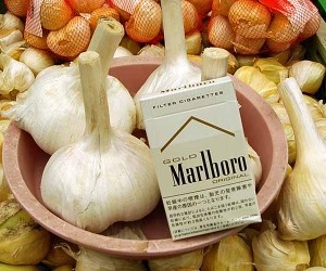 お買い得！！野菜種　ニンニク　ジャンボニンニクの種　500ｇ