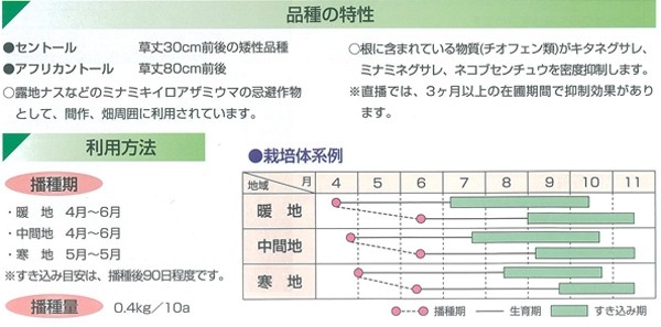 景観形成作物 マリーゴールド 0g 高品質 アフリカントール