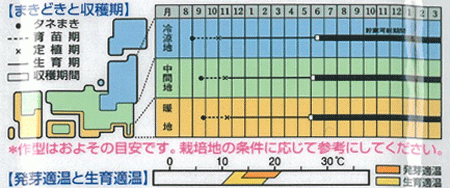 種 タマネギ ネオアース タキイ交配栽培様式（作型表）