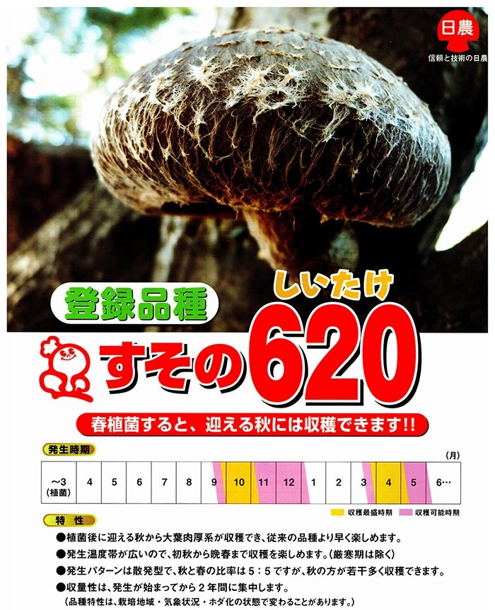 キノコ種菌(種駒) しいたけ すその620 棒駒種菌 500駒 キノコ種菌(種駒) しいたけ すその620 棒駒種菌 500駒