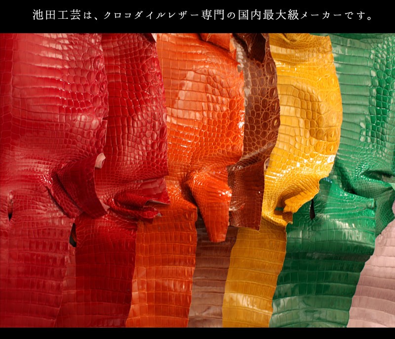 FARO クロコダイル 名刺ケース 一枚革 CAVIRO CROCO ファーロ 池田工芸】日本最大のクロコダイル専門店が贈るCrocodile