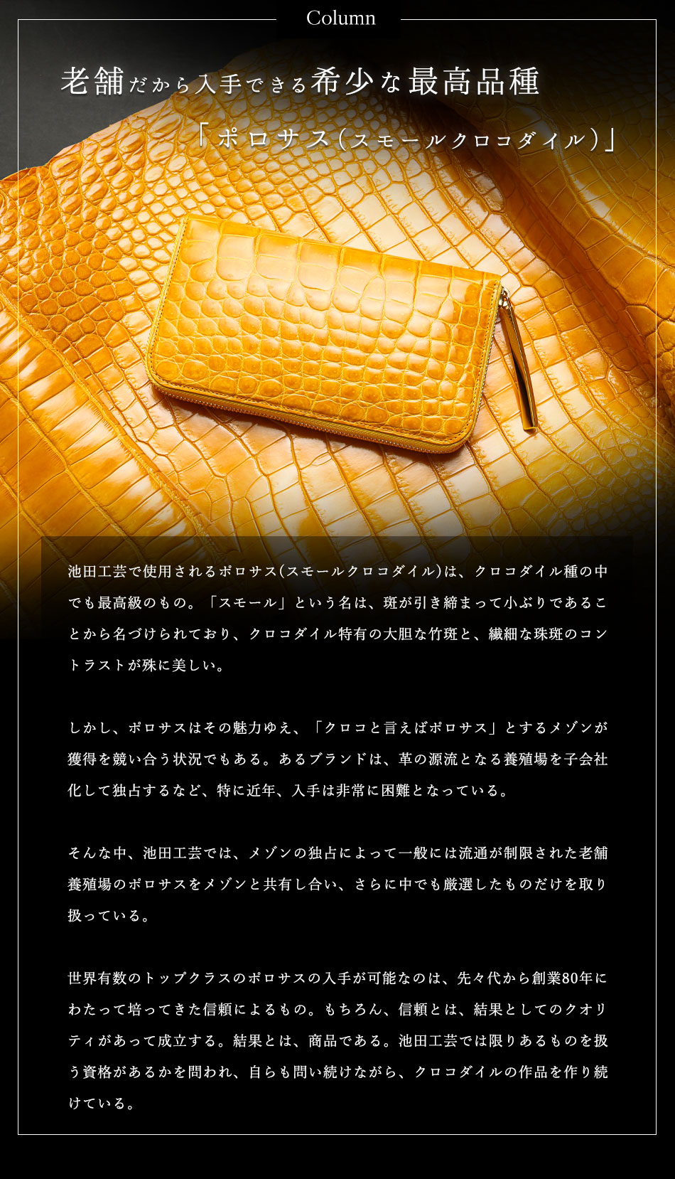 池田工芸】《本数限定》“革の宝石”を体現する、気品の「艶