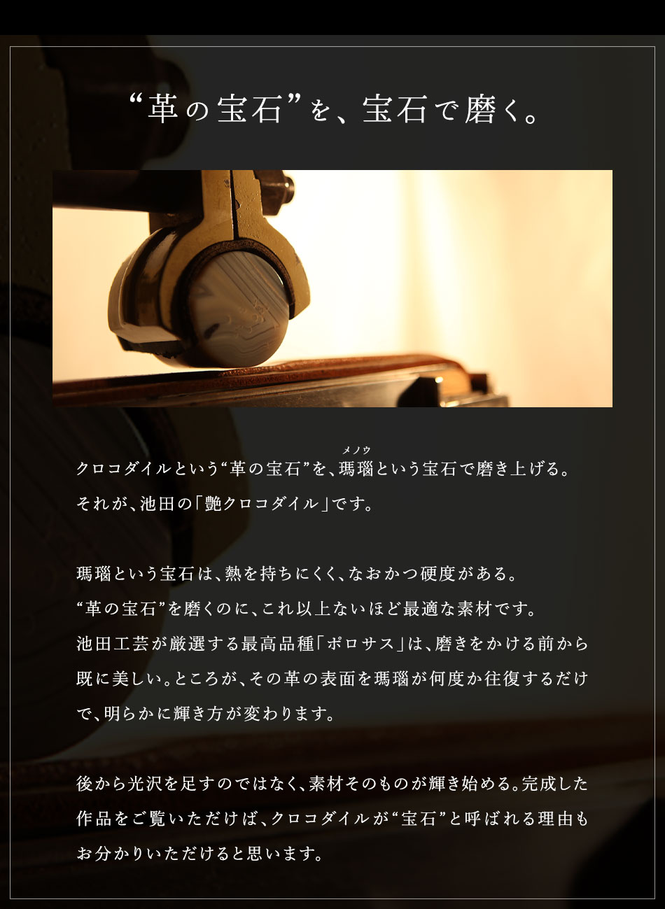 クロコダイル財布 艶クロコダイル メンズ 長財布【池田工芸】日本最大のクロコダイル専門店が贈るクロコダイル定番長財布【12月3日頃出荷】 |  | 06