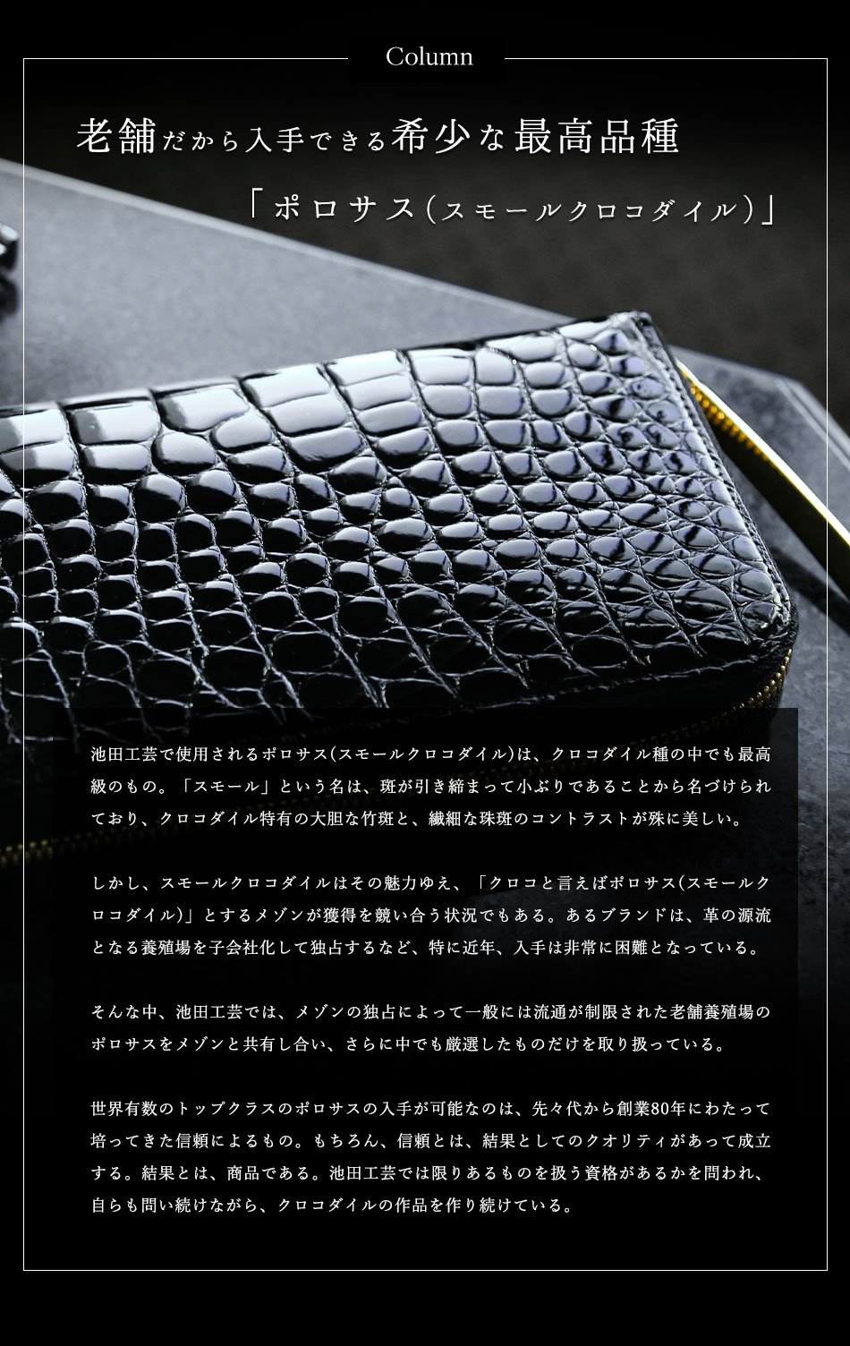 クロコダイル財布 艶クロコダイル メンズ 長財布【池田工芸】日本最大のクロコダイル専門店が贈るクロコダイル定番長財布【12月3日頃出荷】 |  | 08