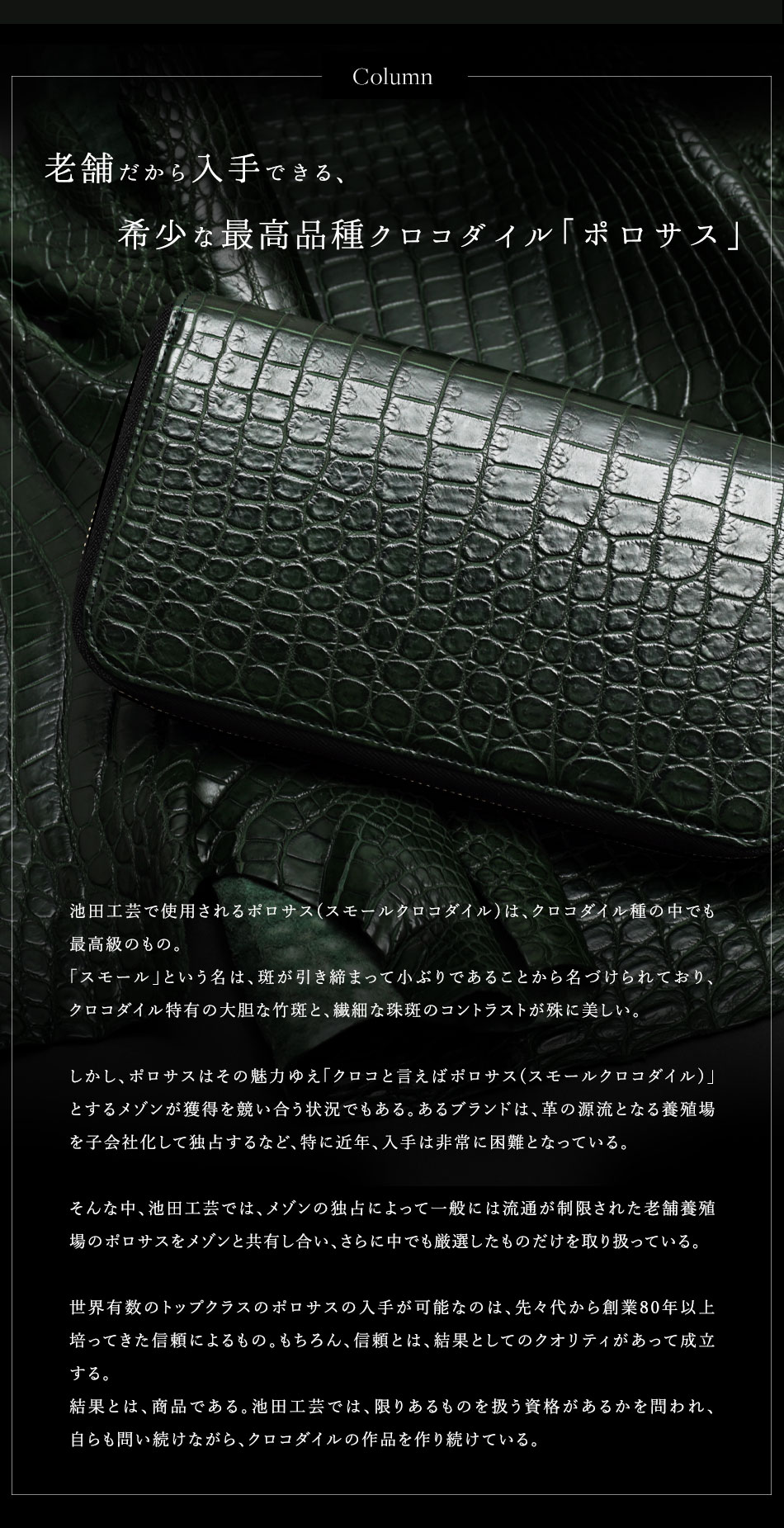 クロコダイル財布 金運財布 縁起財布 マットクロコ 緑 メンズ 長 クロコダイル財布 金運財布 縁起財布 マットクロコ 緑 メンズ 長