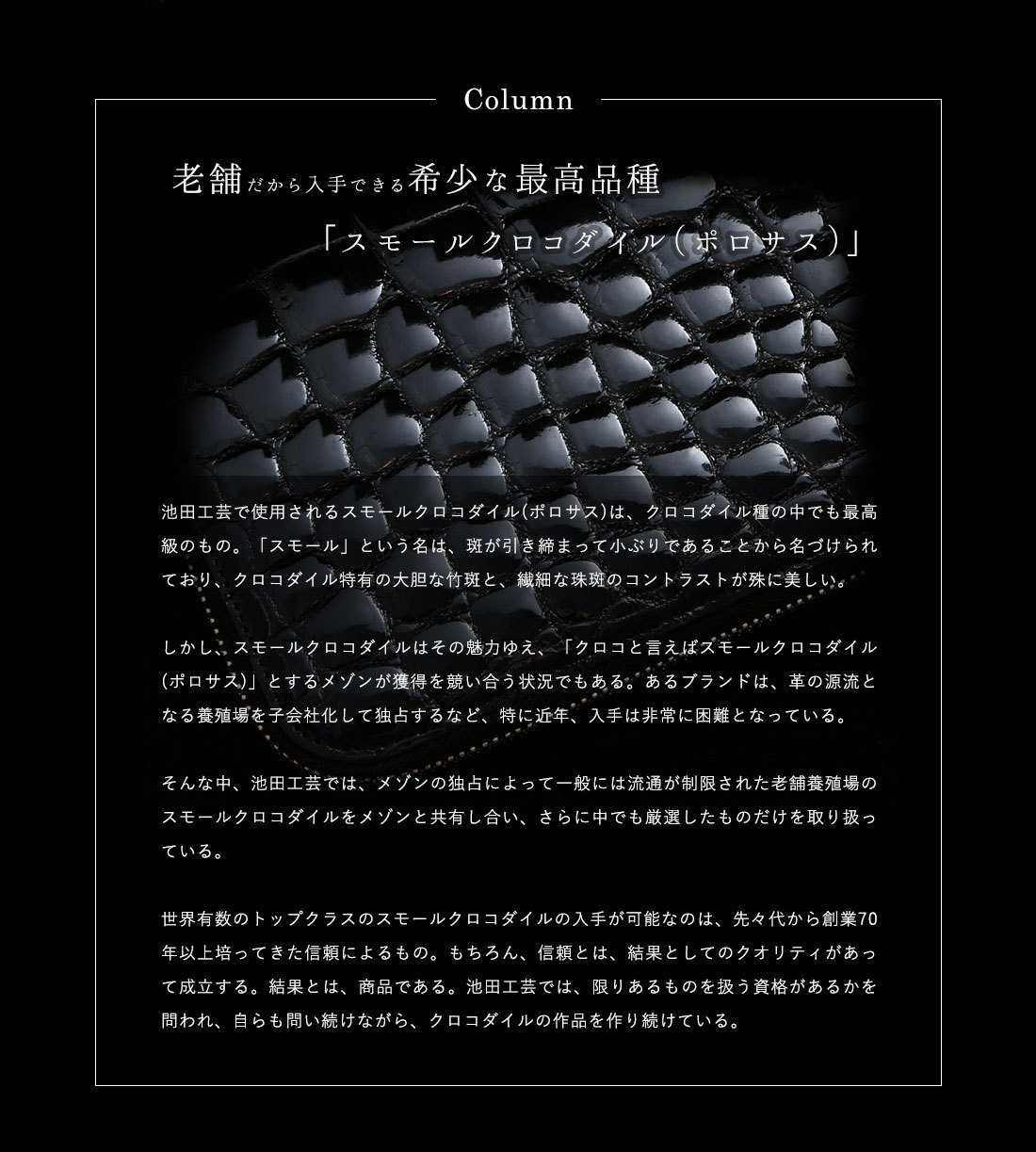 定期購入 池田工芸 新型 天下統一財布 規格外大型ver 誕生 Crocodile Designed Wallet Samurai Grande 5月12日頃出荷 訳あり新品 Www Vacuslim48 Com