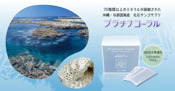 プラチナコーラル|約70種以上のミネラル「化石サンゴ