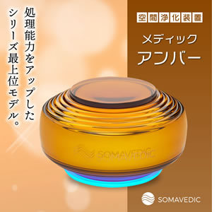 smv_img13.jpg