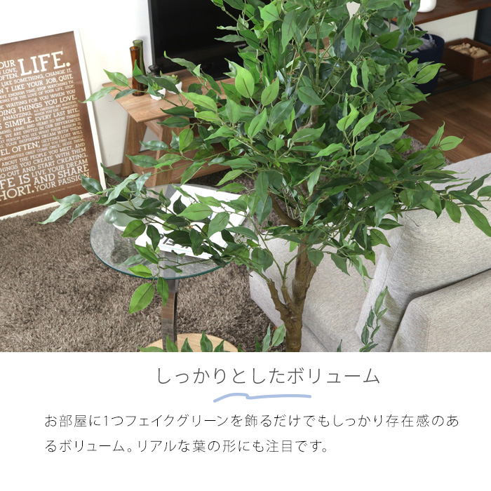 フィカス（ゴムの木）　大型　フェイクグリーン　人工観葉植物 楽天市場】人工観葉植物 H160 FICUS フィカス ゴムの木 インテリア