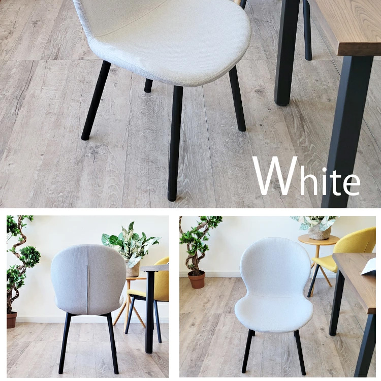 2脚セット ダイニングチェア いす 椅子 チェアー デザイナーズスタイル