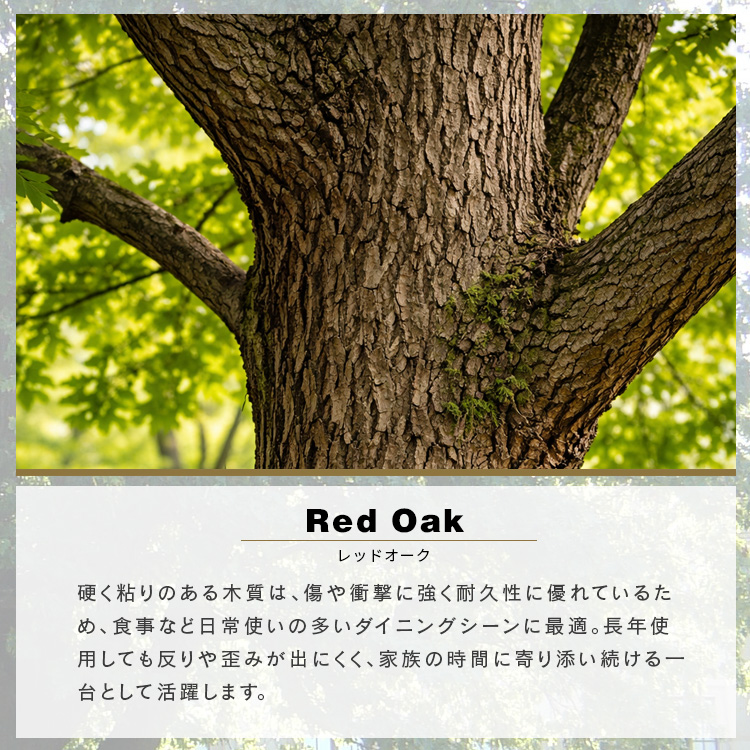ダイニングチェア 回転 肘付き レッドオーク 無垢 木製 天然木
