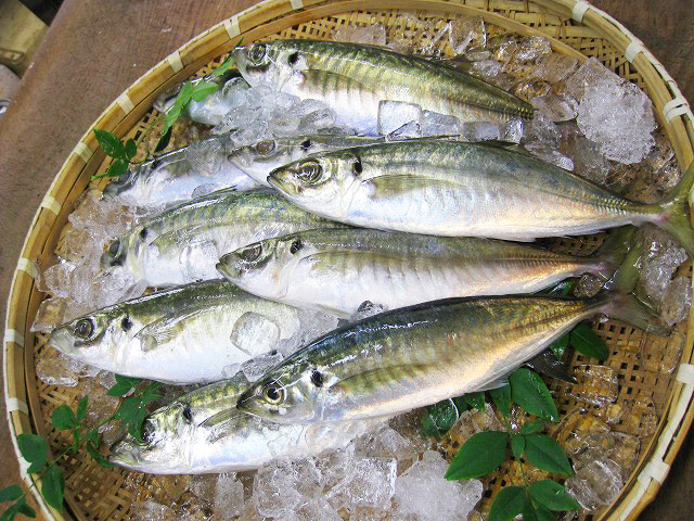 ギフト用 干物 一夜干し お歳暮 詰め合わせ おまかせ 5000円セット 風呂敷 ギフト プレゼント 美味しい 海鮮 魚