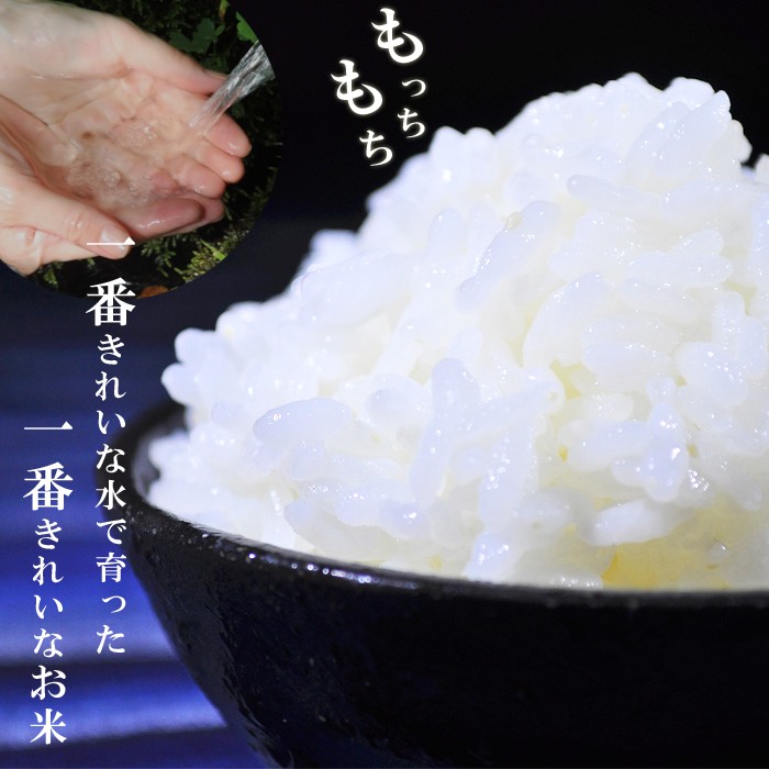 コシヒカリ 新米 令和6年産 値段据え置き 滋賀県産 ぎおん米