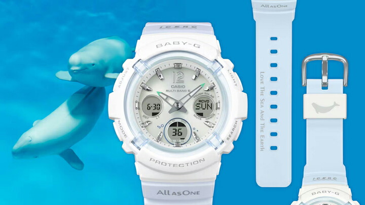 BABY-G ICERC Japan コラボレーションモデル 2025 イルクジ イルカ