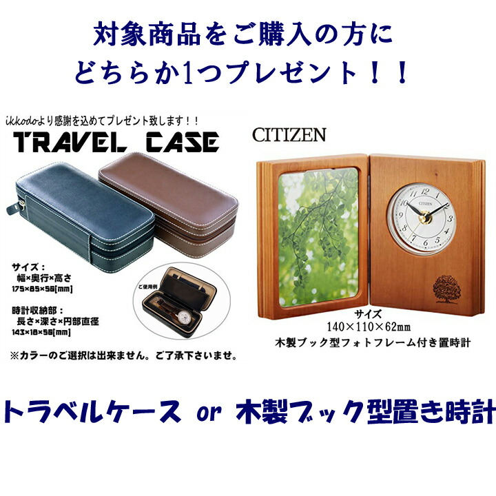 travel_case