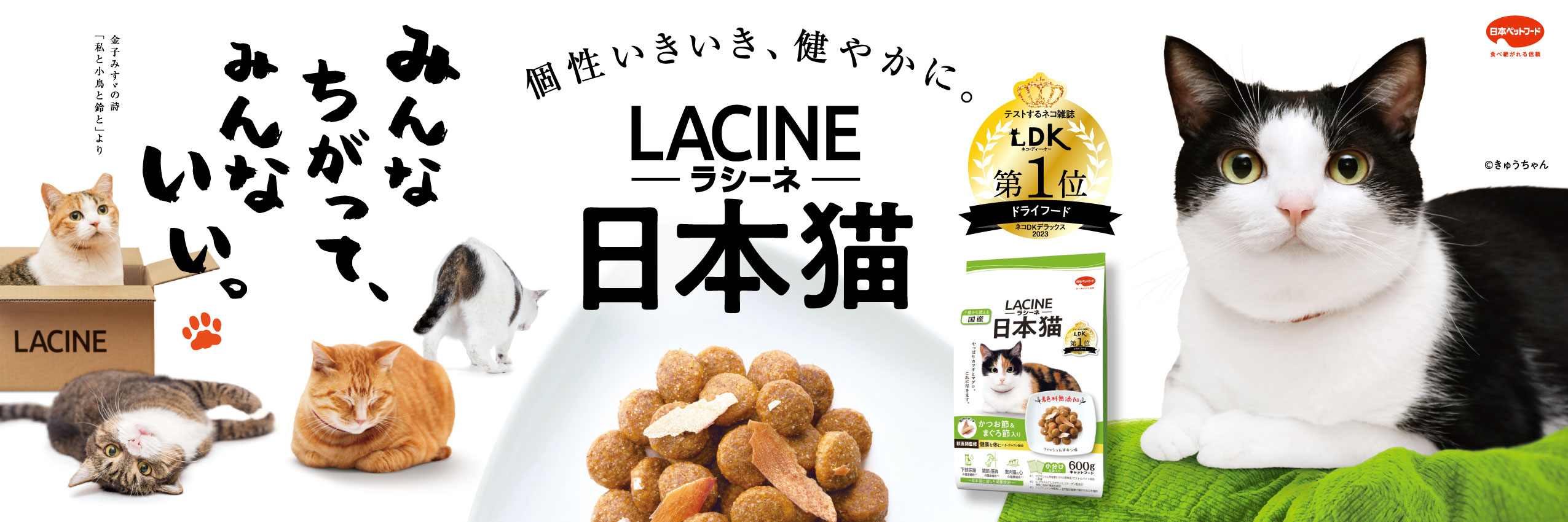 イコアペットフード - Yahoo!ショッピング