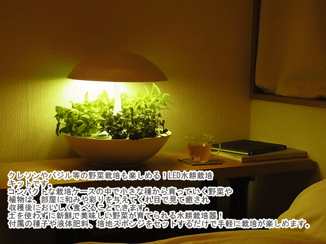野菜栽培キット 水耕栽培 LED アカリーナ akarina01 Terrara 灯菜 LED