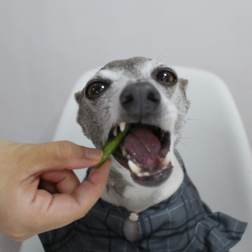 iliosmile（イリオスマイル） 犬 おやつ 乾燥野菜＆フルーツ/バナナ