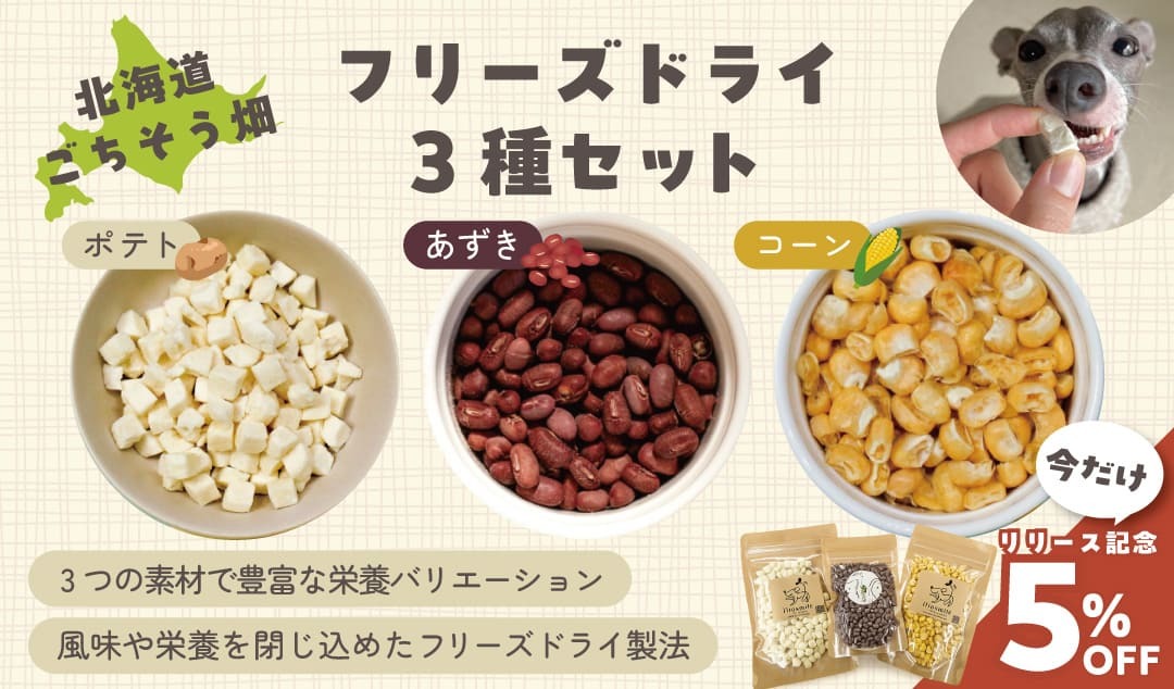 �ե꡼���ɥ饤3�糧�åȴ��ָ���5%OFF