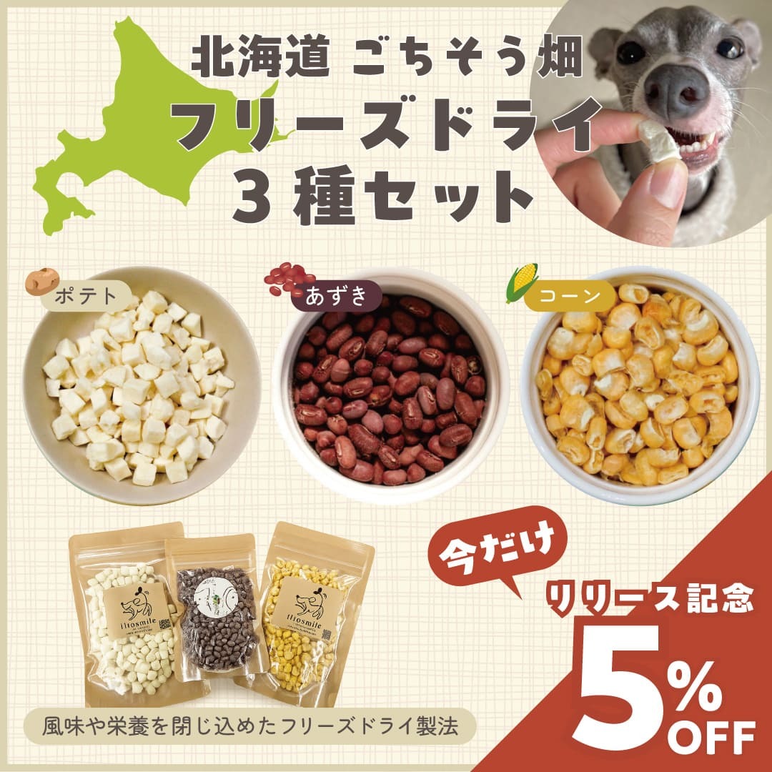 �ե꡼���ɥ饤3�糧�åȴ��ָ���5%OFF
