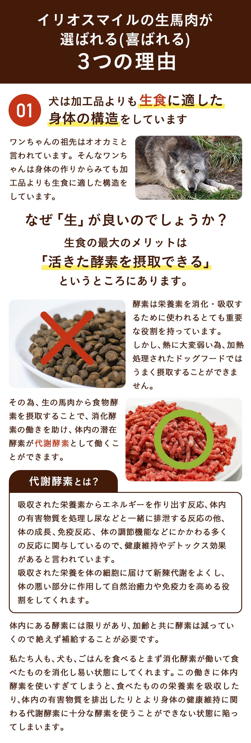 生馬肉3セットページ