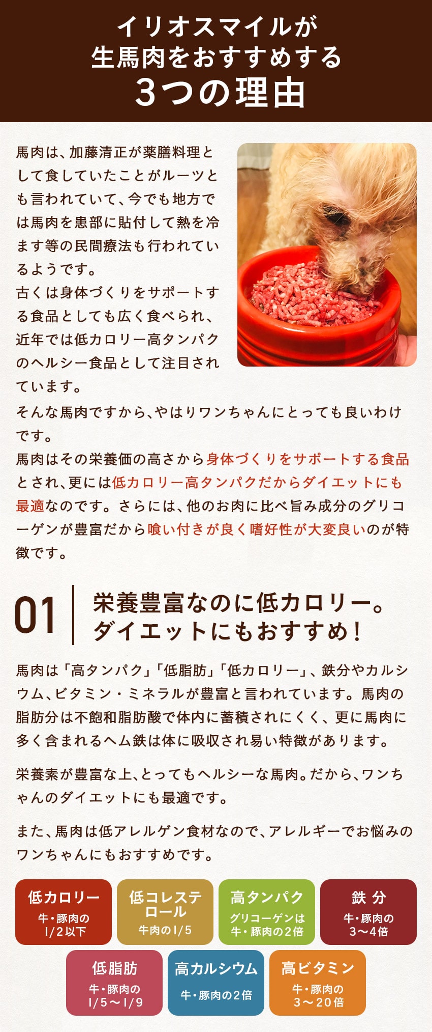 生馬肉3セットページ