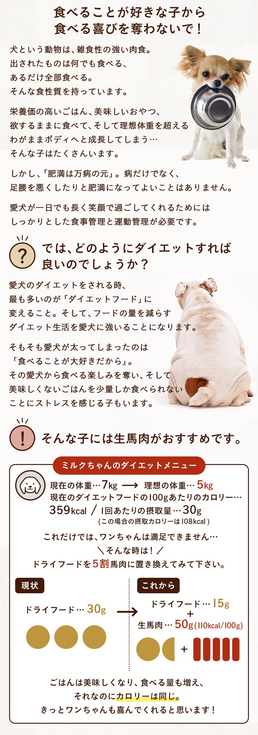 生馬肉3セットページ