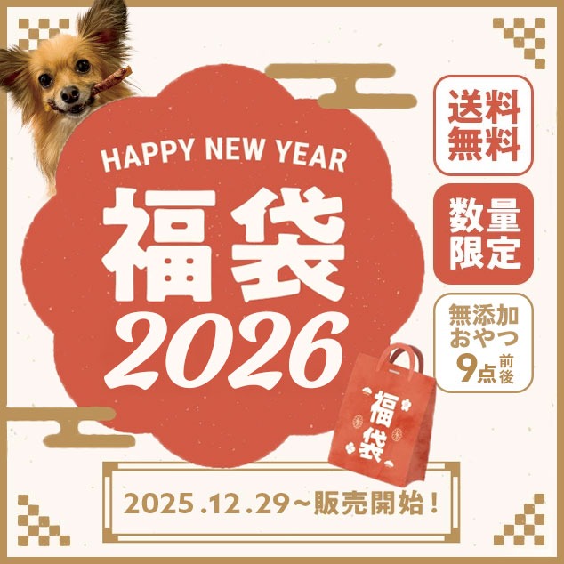 犬 おやつ 無添加 福袋 犬のおやつ / 送料...の詳細画像1