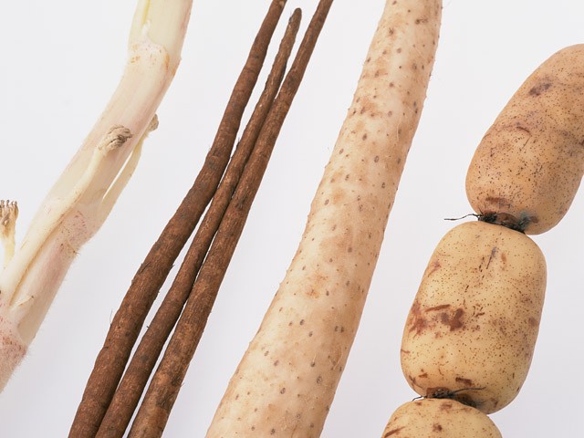 露地栽培旬野菜!