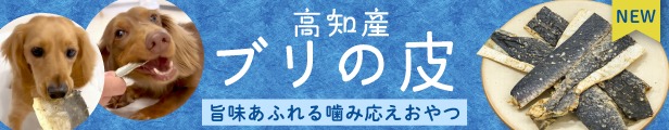 �����ʡ��֥���餬���о졪