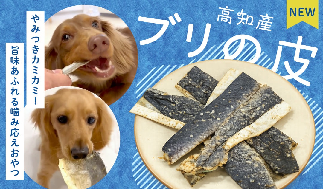 犬用自然派おやつ専門店 iliosmile