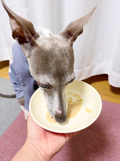 チョウザメのちから 100g