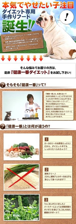 犬 ダイエット 手作り食 無添加 国産 手作りごはんの素 健康一番ダイエット 460g Food 12 犬用自然派おやつ専門店iliosmile 通販 Yahoo ショッピング