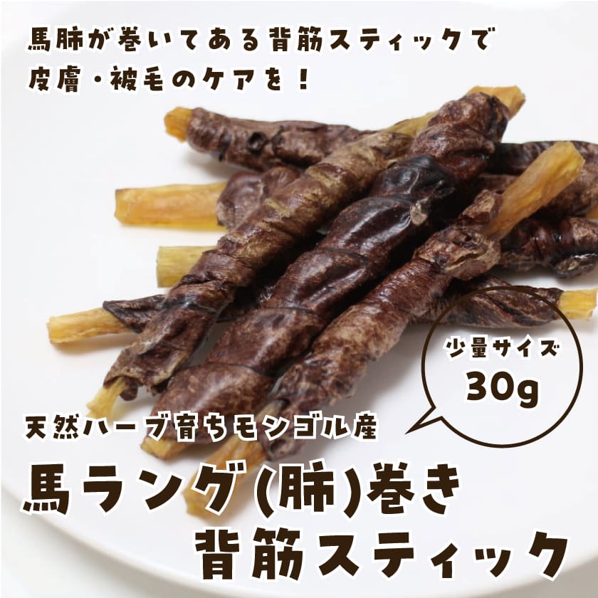 肺巻き背筋スティック 30g