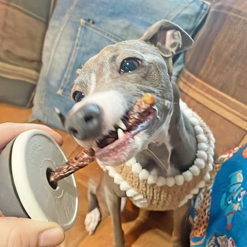 兵庫産 牛背筋スティック