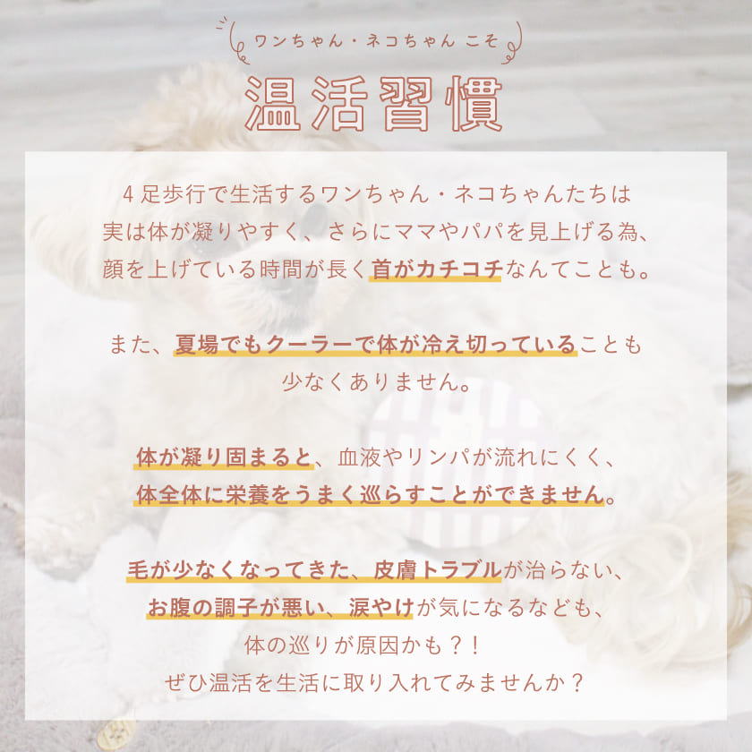 温活ホットパック マハナ-mahana- 丸型